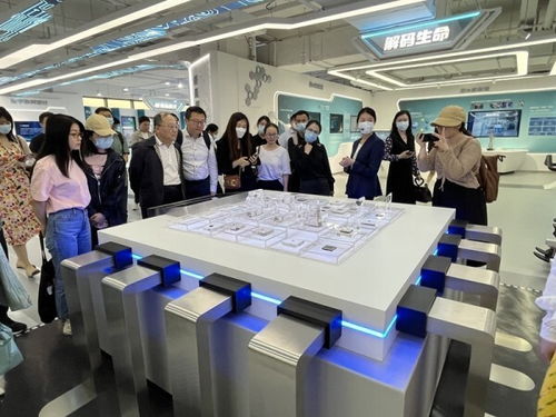 數(shù)字化成就點亮創(chuàng)新之路 上海市網絡文化協(xié)會參觀上海城市數(shù)字化轉型體驗館